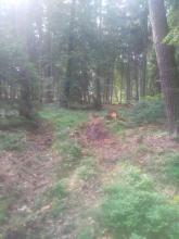 Dokumentation 19.06.2023