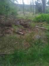 Dokumentation 19.06.2023