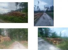 Gar nicht mal so viel für den entstandenen Schaden...